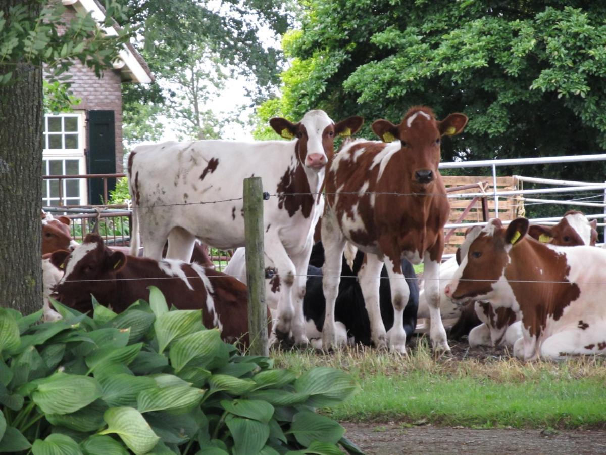 Boerderij De Aarnink Apartman Heeten Kültér fotó